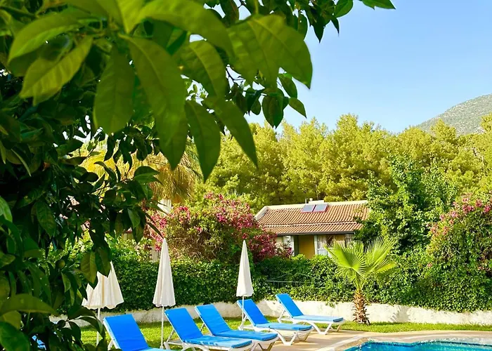 With A Private Pool And Mountain View In A Quiet Area Next To Fores