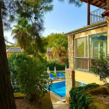 فيلة Gemovilla